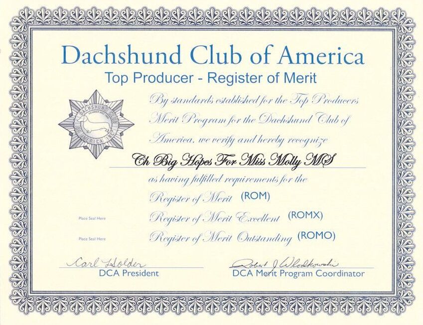 Dachshund Club of America Top Producer – Register of Merit: Ch Big Hopes For Miss Molly MS